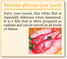 Kinmedai alfonsino (year round)