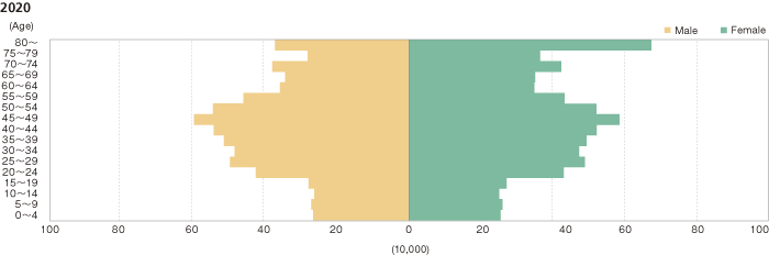 Change in Population Age Structure by Gender for Tokyo (2020)