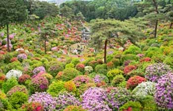 A photo of the Shiofune Kannon Temple grounds