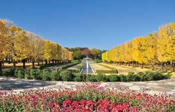 A photo of the Showa Kinen Park landscape