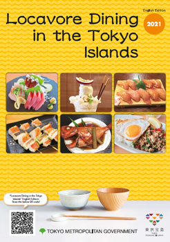 image of guidebook 2