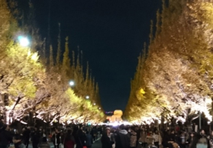 Photo of the light-up avenue