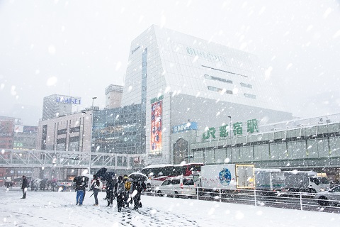 도쿄에 폭설의 사진