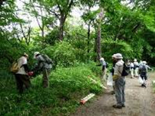 平山城址公園の写真