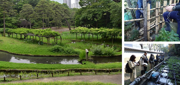 小石川後楽園の写真