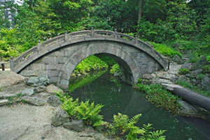 小石川後楽園の写真