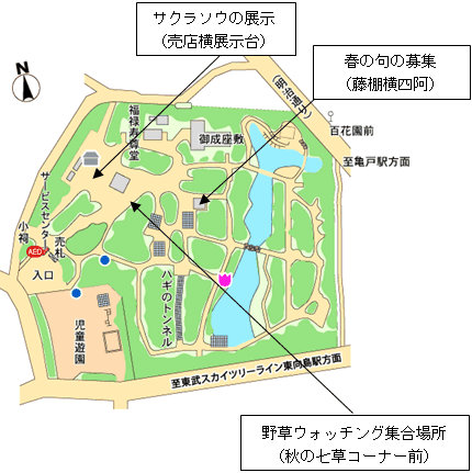 園内の地図