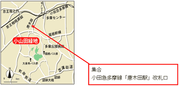 公園への地図