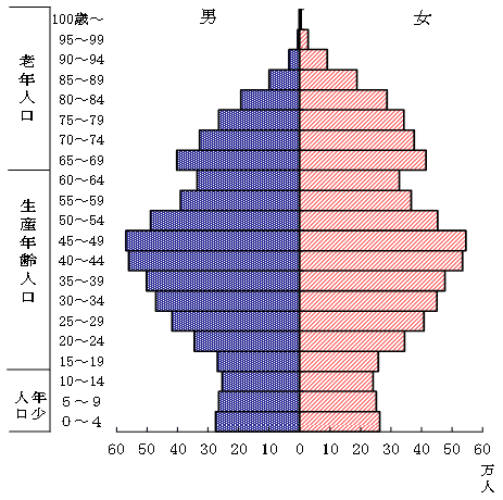 日本人における人口ピラミッドの図