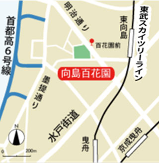 公園への地図