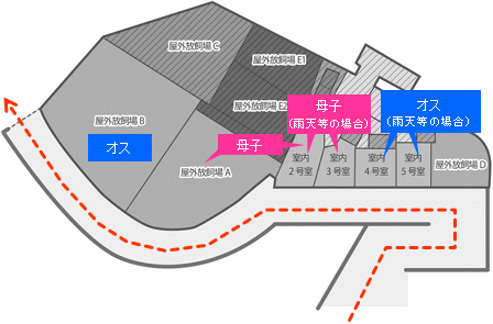 順路の画像1