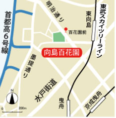 公園までの地図