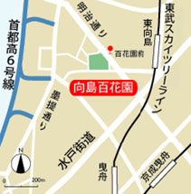 公園への地図