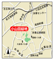 公園への地図