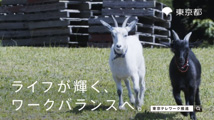 動画のイメージ画像