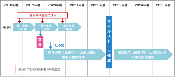 支援の流れの概要図