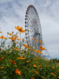 イベントの様子の写真1