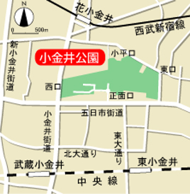 公園への地図