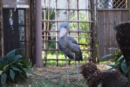 慰霊動物の写真