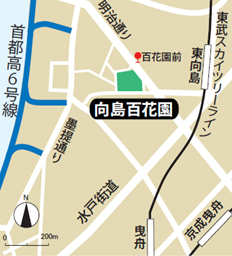 公園への地図