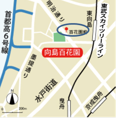 公園への地図