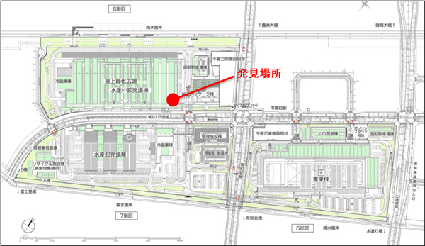 発見場所の地図