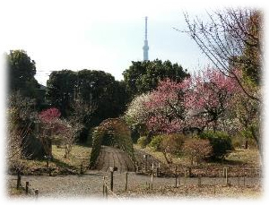 園内の様子の写真1