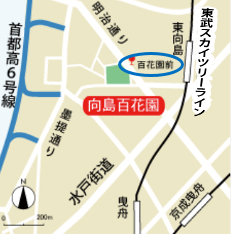 公園への地図