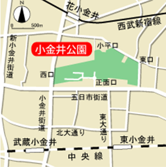 公園への地図