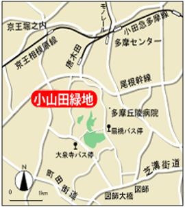 公園への地図