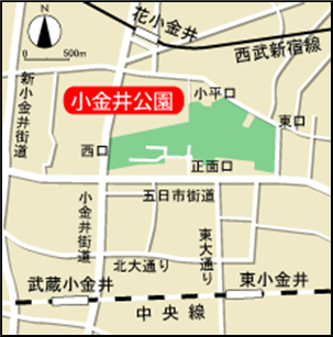 公園への地図