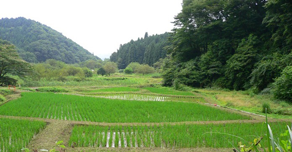 里山のイメージ写真