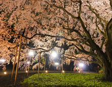 イベントの様子の写真3