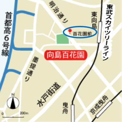 公園への地図