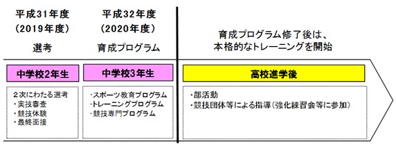 事業の流れの概要図