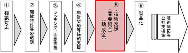 支援の流れの概要図