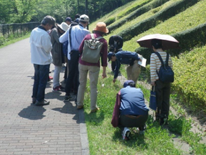 昨年の様子の写真1