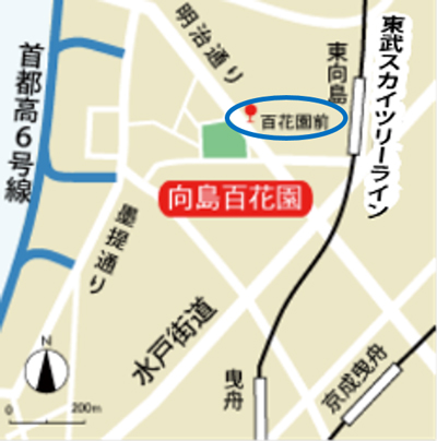 公園への地図