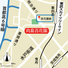 交通案内地図