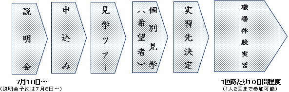 実習の流れ概要図