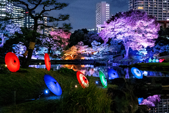 実施事業風景の写真