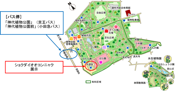 公園の地図