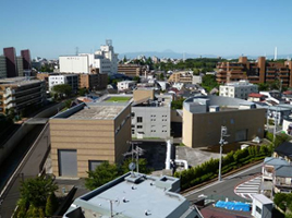 善福寺川取水施設・全景の写真