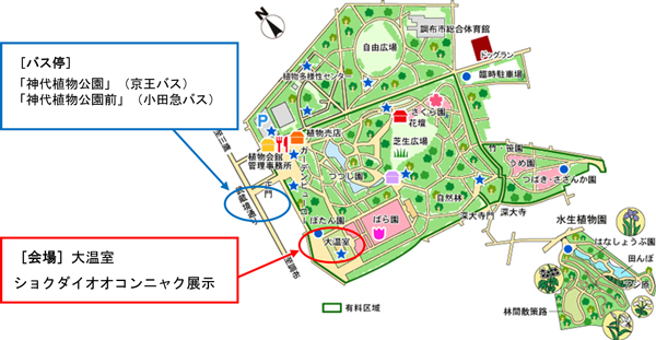 公園の地図