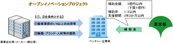 事業の流れの概要図