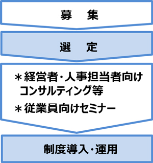 事業の流れの概要図