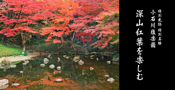 小石川後楽園の写真