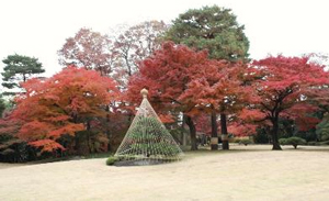 殿ヶ谷戸庭園の写真