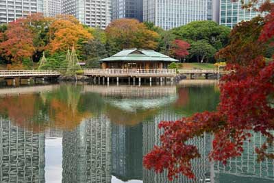 浜離宮恩賜庭園の写真