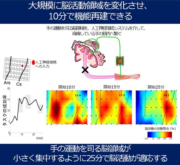 人工神経接続に関するイメージ画像2